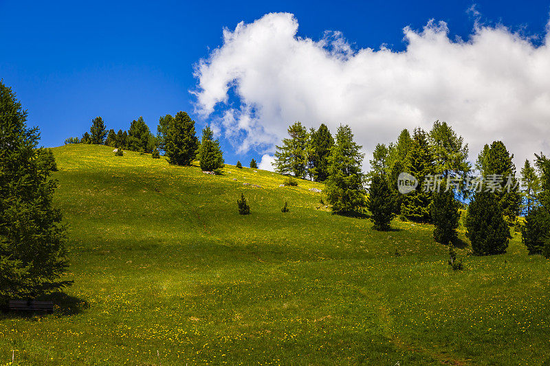 田园诗般的白云石阿尔卑斯山景观- Val Gardena，意大利